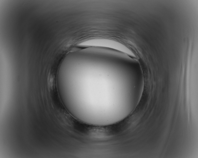 X0000085790123200703301500