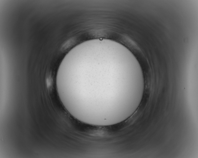 X0000085790124200703301500