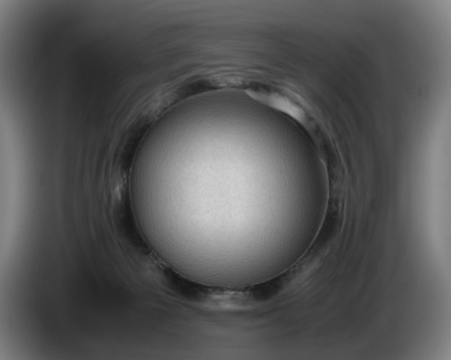 X0000085790125200703301500