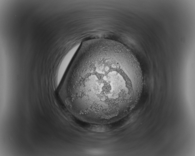 X0000085790127200703301500