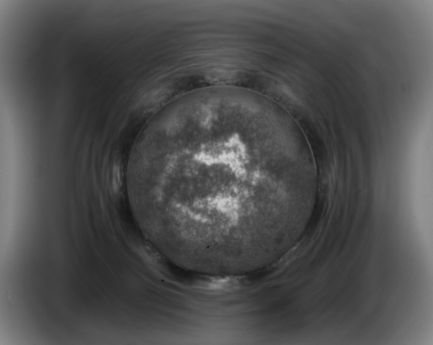 X0000085790130200703301500