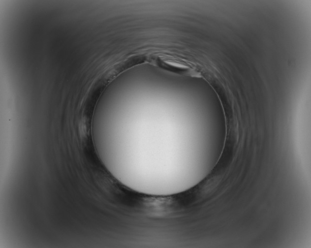 X0000085790135200703301459