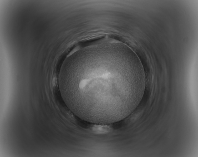 X0000085790137200703301459