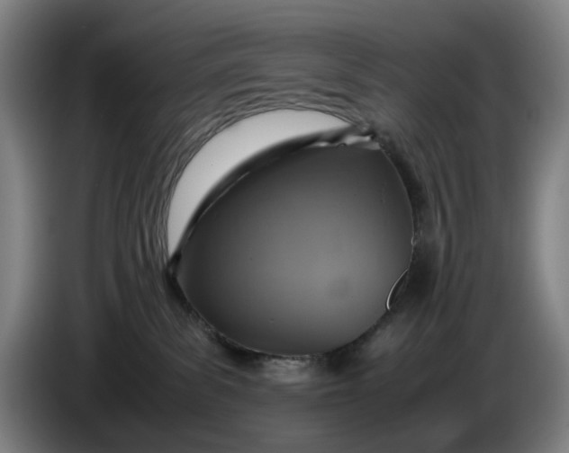X0000085790139200703301459