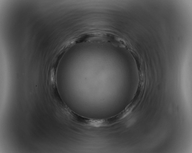 X0000085790143200703301459