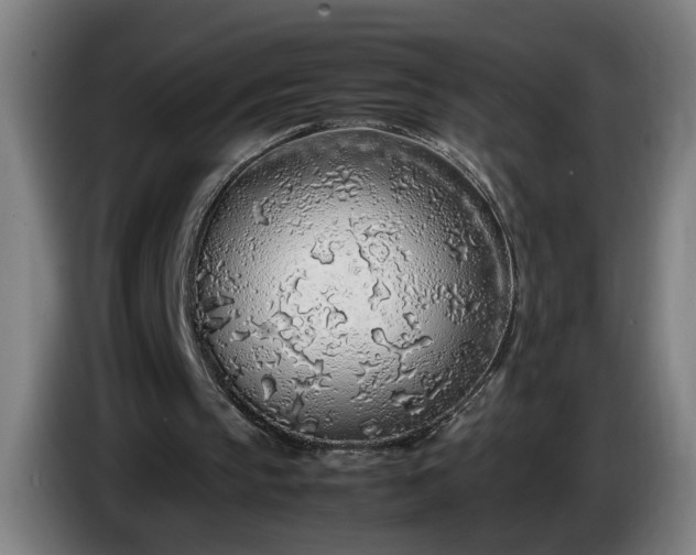 X0000085790145200703301459