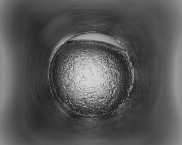 X0000085790147200703301459