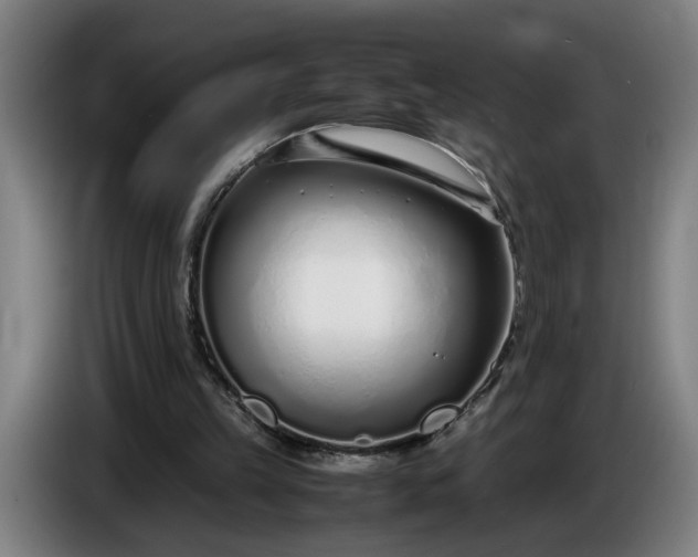 X0000085790149200703301459