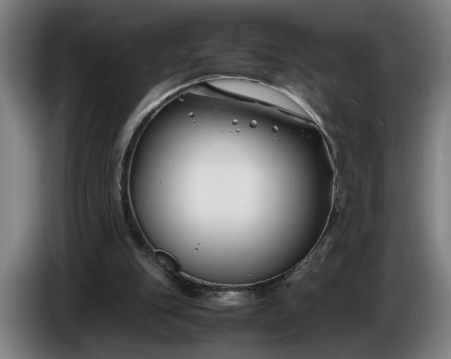 X0000085790151200703301459