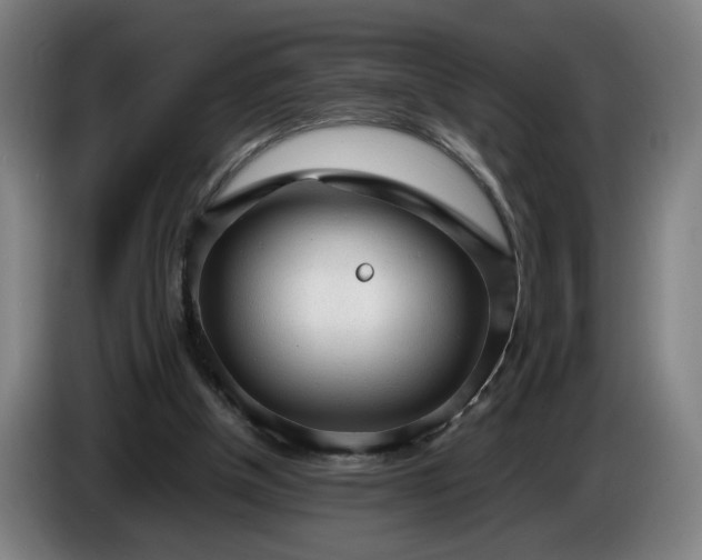 X0000085790154200703301459