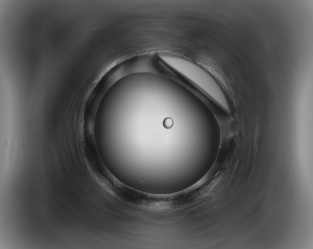 X0000085790156200703301459
