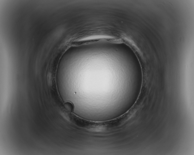 X0000085790161200703301459