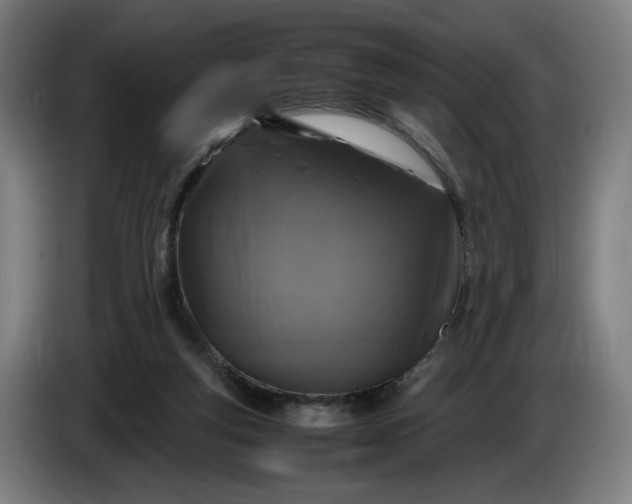 X0000085790163200703301459