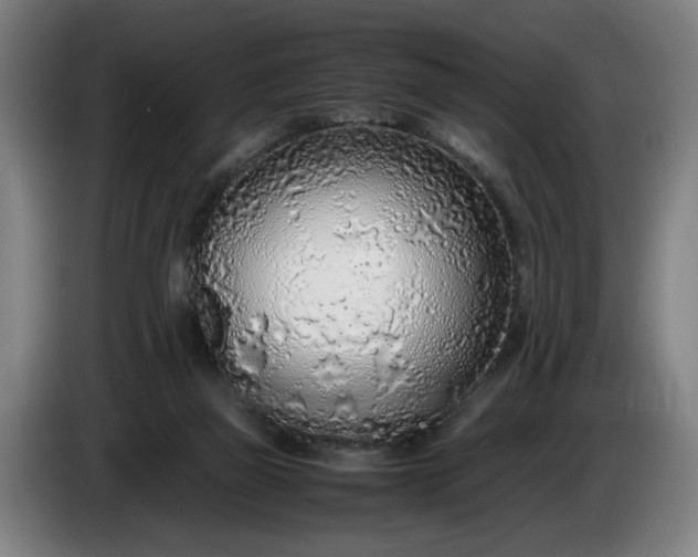 X0000085790165200703301459