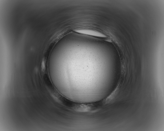 X0000085790166200703301459