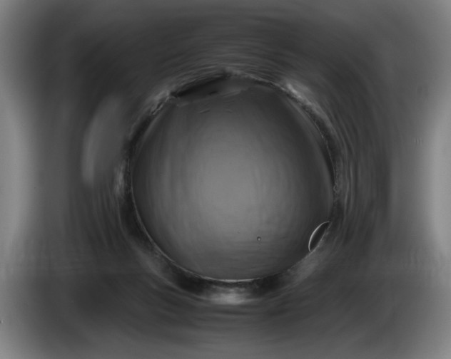 X0000085790167200703301459