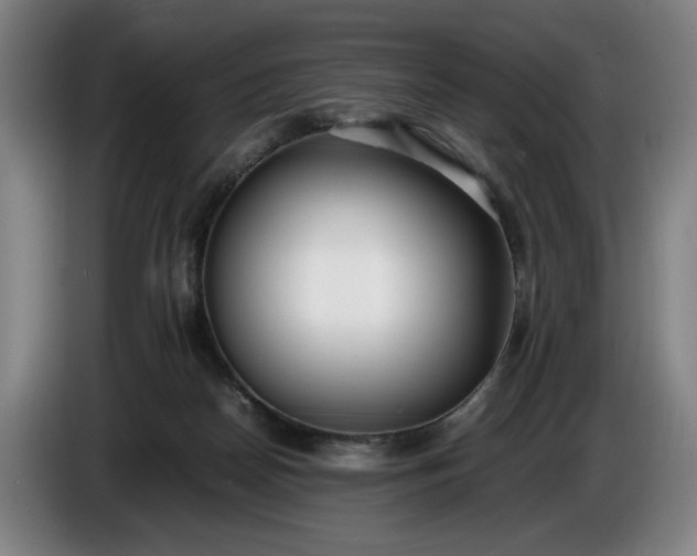 X0000085790170200703301459