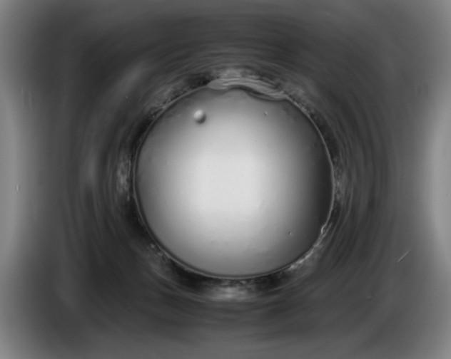 X0000085790175200703301459