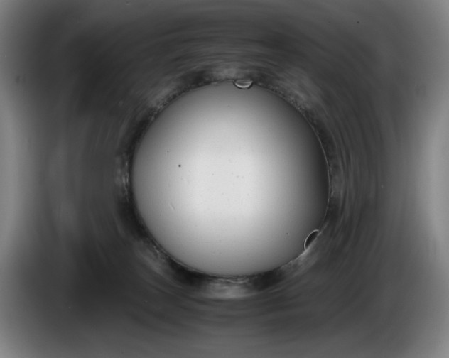 X0000085790179200703301459