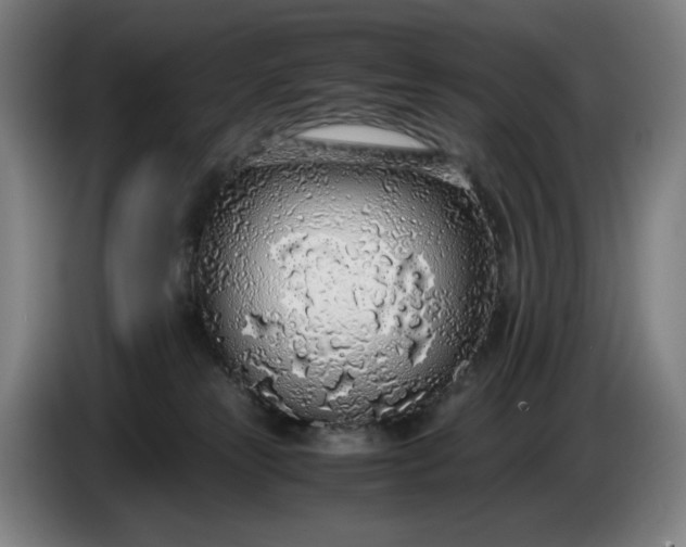 X0000085790181200703301459