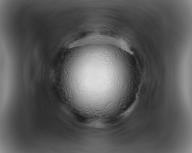X0000085790182200703301459