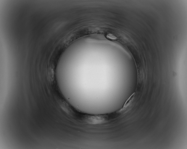 X0000085790183200703301459
