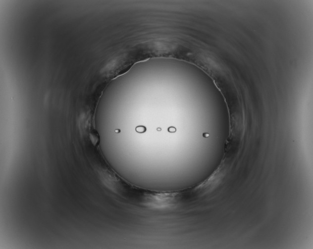 X0000085790184200703301459
