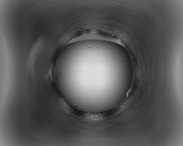 X0000085790185200703301459