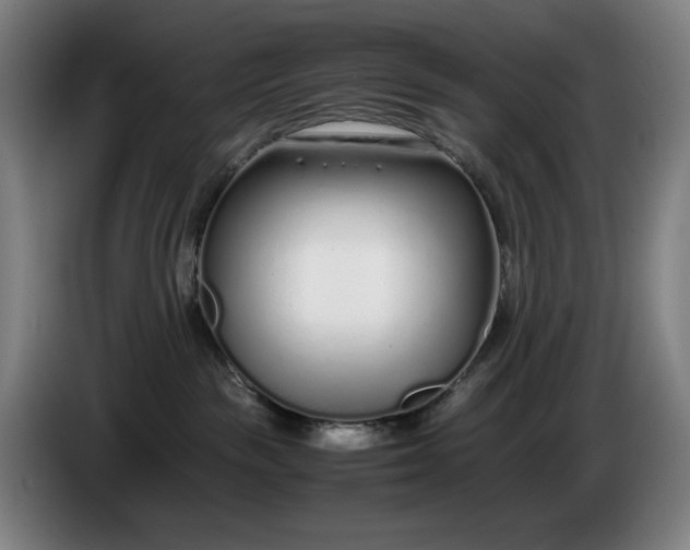 X0000085790189200703301459
