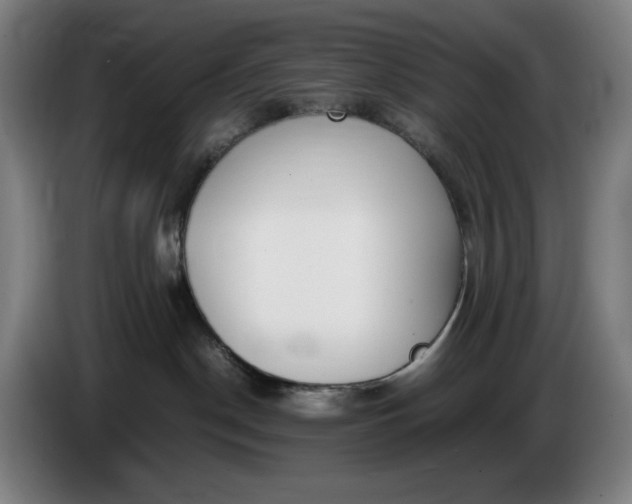 X0000085790190200703301459