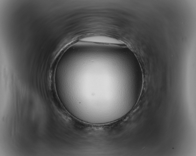 X0000085790194200703301459
