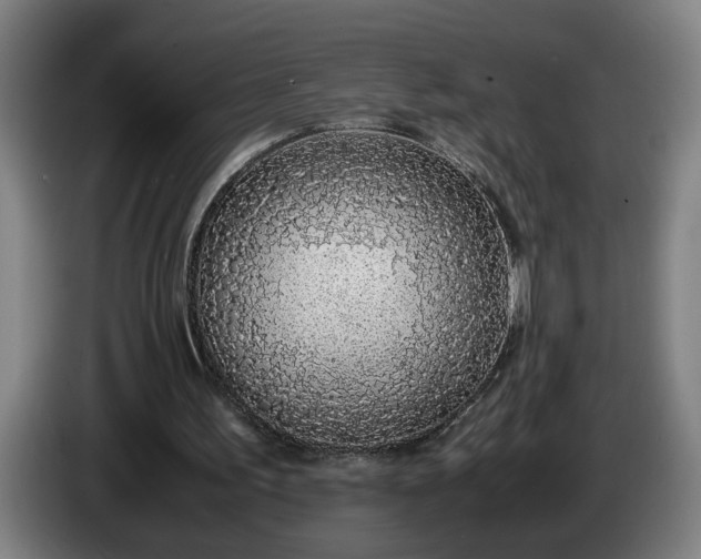 X0000085790195200703301459