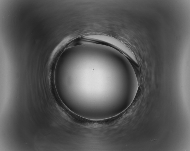 X0000085790197200703301459
