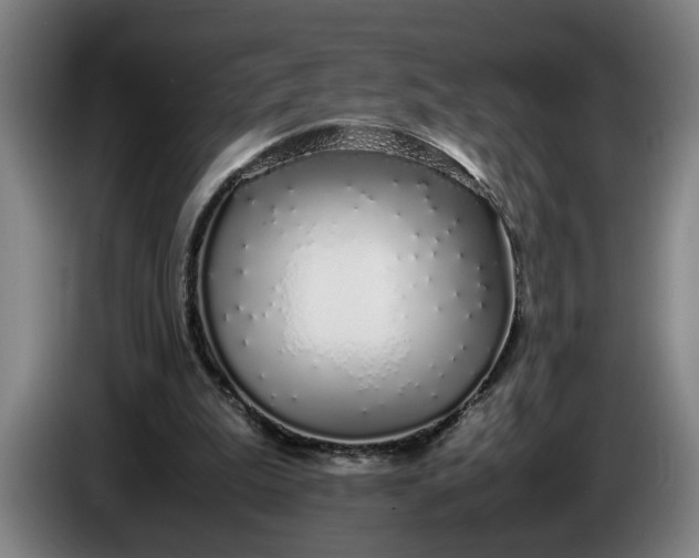 X0000085790199200703301459
