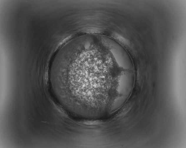 X0000085790202200703301459