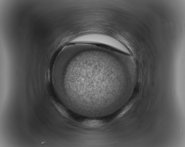 X0000085790205200703301458