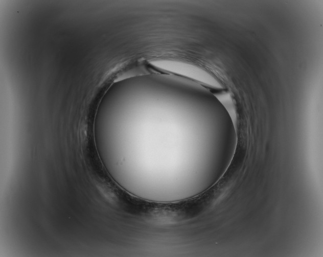 X0000085790207200703301458