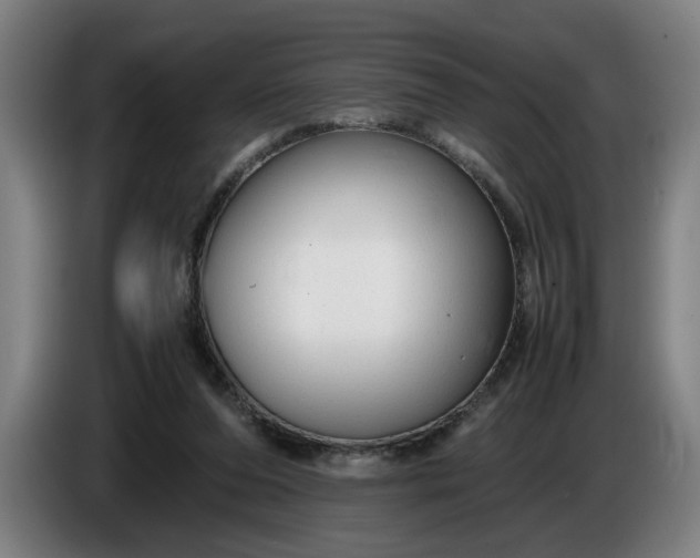 X0000085790208200703301458
