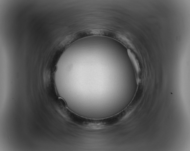 X0000085790213200703301458