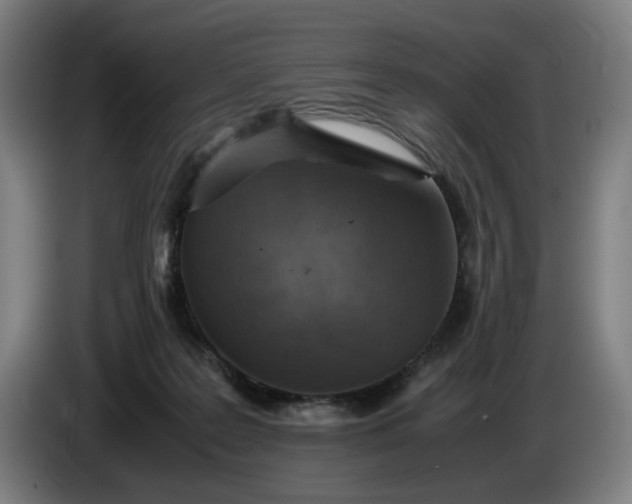X0000085790219200703301458