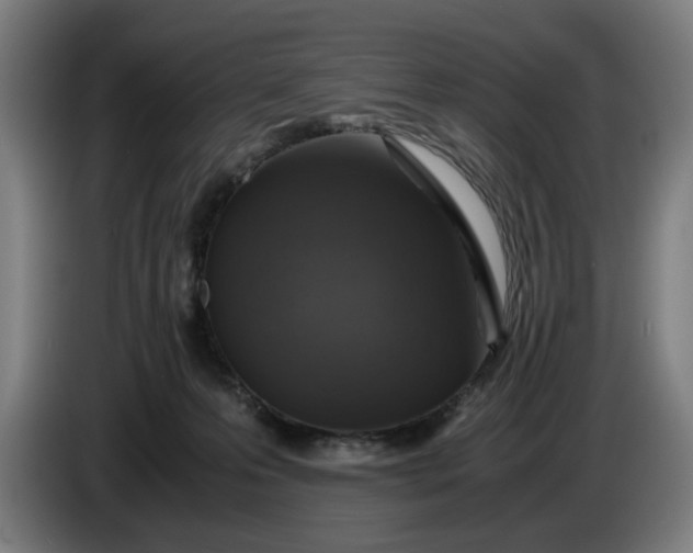 X0000085790223200703301458