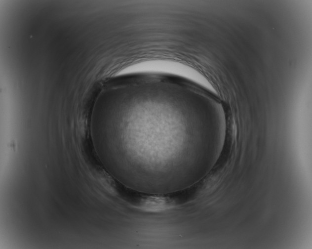 X0000085790227200703301458
