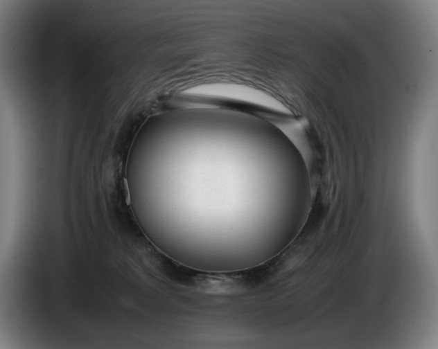 X0000085790229200703301458