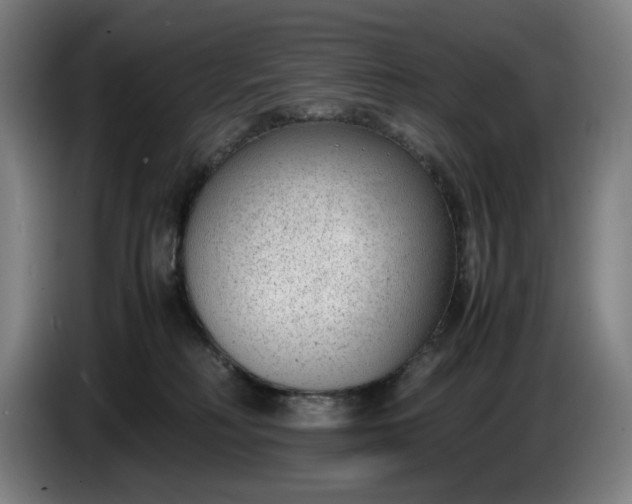 X0000085790230200703301458