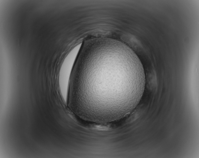 X0000085790232200703301458