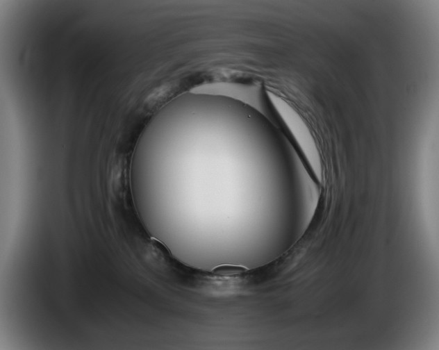 X0000085790233200703301458