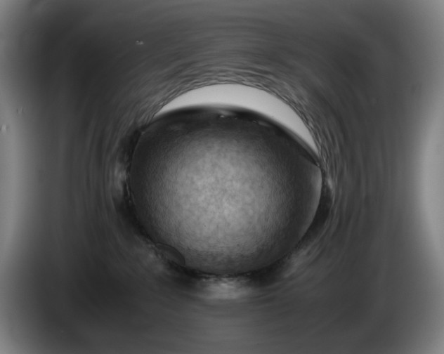 X0000085790235200703301458
