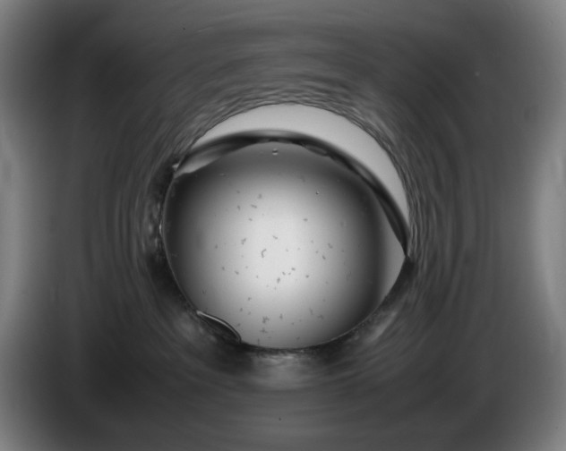 X0000085790237200703301458