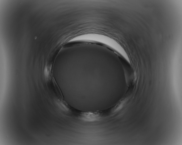 X0000085790239200703301458