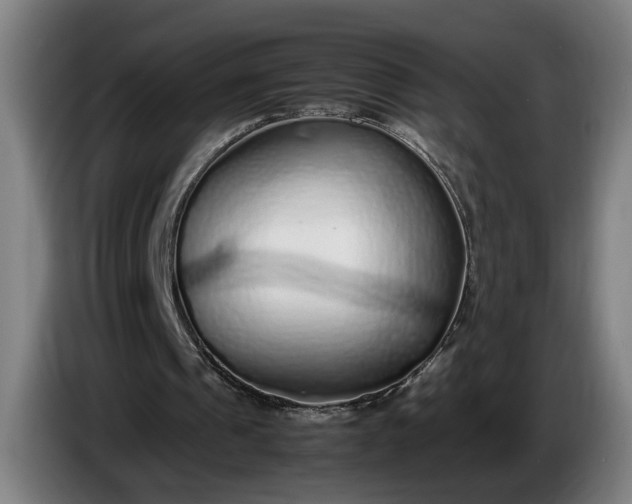 X0000085790241200703301457